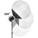 GVM SD300D Spotlight: Picture 8 thumbnail