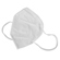 General Brand KN95 Protective Face Masks with Filter (...: Picture 3 thumbnail