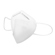 Rsa KN95 Protective Face Masks (10-Pack): Picture 3 thumbnail