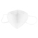 Rsa KN95 Protective Face Masks (10-Pack): Picture 4 thumbnail