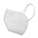 Rsa KN95 Protective Face Masks (10-Pack): Picture 5 thumbnail