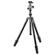 Gitzo GK1545T-82TQD: Picture 1 thumbnail
