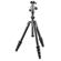 Gitzo GK1555T-82TQD: Picture 1 thumbnail