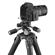 Gitzo GT2542 + GHF3W: Picture 10 thumbnail