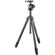 Gitzo GK3532-80QD: Picture 1 thumbnail
