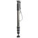 Gitzo Carbon eXact 4-Sec: Picture 1 thumbnail