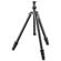 Gitzo GT1545T: Picture 1 thumbnail