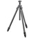 Gitzo GT2532: Picture 1 thumbnail