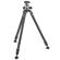 Gitzo GT3533LS: Picture 1 thumbnail
