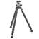 Gitzo GT4543LS: Picture 1 thumbnail
