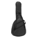 H&A Gig Bag: Picture 2 thumbnail