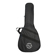 H&A Gig Bag: Picture 3 thumbnail