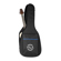 H&A Gig Bag: Picture 4 thumbnail