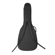 H&A Gig Bag: Picture 7 thumbnail