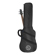 H&A Gig Bag: Picture 4 thumbnail