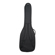 H&A Gig Bag: Picture 7 thumbnail