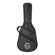 H&A Gig Bag: Picture 3 thumbnail