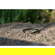 Haida Premium Brass Shock-Proof UV Filte...: Picture 7 thumbnail