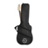 H&A Gig Bag: Picture 3 thumbnail
