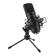 H&A Surfur Professional Microphone with ...: Picture 2 thumbnail