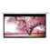 Hamilton Buhl Electric Projector Screen: Picture 1 thumbnail