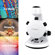 Hamilton Buhl Scout Digital Microscope: Picture 5 thumbnail