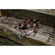 HoldFast Gear Water Buffalo Photo Belt, Medium, Burgundy: Picture 3 thumbnail