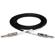 Hosa Technology Hosa 1/4" Phone Male to 1/4" Phone Male ...: Picture 1 thumbnail