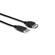 Hosa Technology USB 200AF: Picture 1 thumbnail