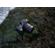 Hasselblad XCD Lens: Picture 16 thumbnail