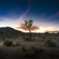 Hasselblad 907X 100C: Picture 19 thumbnail