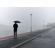 Hasselblad Lightweight Field Kit: Picture 3 thumbnail
