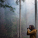 Hasselblad X2D 100C: Picture 21 thumbnail