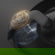 HTC VIVE Focus 3: Picture 9 thumbnail
