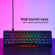 HyperX Alloy Origins 65: Picture 7 thumbnail