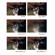 Hoya Creative Softener Filter: Picture 5 thumbnail
