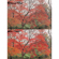Hoya Red Starscape Filter: Picture 2 thumbnail