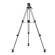 Ikan EG01A2: Picture 2 thumbnail