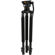 Ikan Tripod Quick Kit: Picture 2 thumbnail