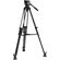 Ikan EG08A2: Picture 1 thumbnail
