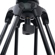 Ikan EG780A2: Picture 11 thumbnail