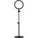 Ikan Accent Light: Picture 11 thumbnail