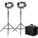 Ikan IFD576 2-Point LED Light Kit with Sony V-Mount Battery Plate: Picture 3 thumbnail