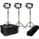 Ikan IFD576 3-Point LED Light Kit with Sony V-Mount Battery Plate: Picture 3 thumbnail