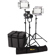 Ikan Bi-Color LED 3-Light Kit: Picture 1 thumbnail