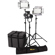 Ikan Bi-Color LED 3-Light Kit: Picture 1 thumbnail