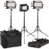 Ikan Mylo Medium Light Kit: Picture 1 thumbnail