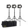 Ikan Mylo Mini Light Kit: Picture 1 thumbnail