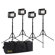 Ikan Mylo Mini Light Kit: Picture 1 thumbnail