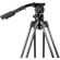 E-Image MOTUS32: Picture 34 thumbnail